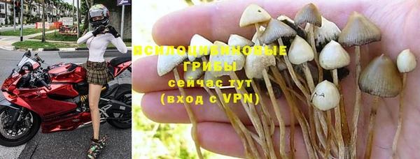 apvp Аркадак