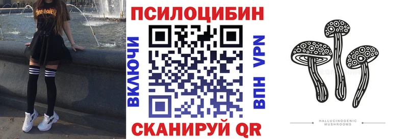 Галлюциногенные грибы Psilocybe  где найти наркотики  Светлый 